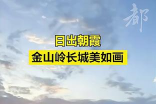 记者：拜仁总监并未就阿劳霍传闻发表声明，但也未予以否认